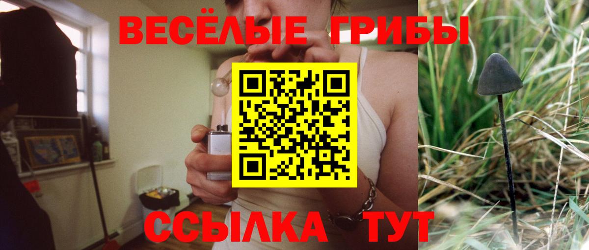 Псилоцибиновые грибы ЛСД Лениногорск